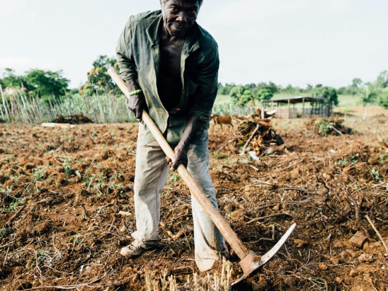 Securing Permanent Jobs in Australia with your common Skills and Free Visa, 2024